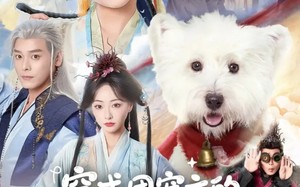 《穿成团宠文的一条狗后被读心了》（82集）短剧免费全集畅快追