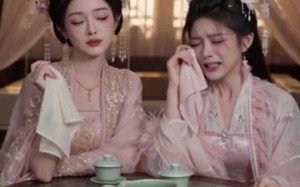 《双钗共赴旧庭芳》（48集）在线短剧免费全集追起来