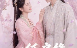 《一纸良缘换清兰》（47集）免费短剧完整版在线赏