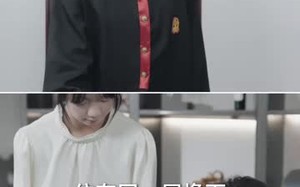 《离婚当天，前夫的案子归我审》（63集）一口气看完短剧全集