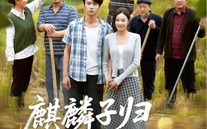 《麒麟子归报春晖》（36集）超火短剧精彩剧情追不停