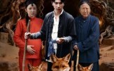 《金狐奇缘》（42集）短剧免费全集尽情观看