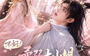 《不好！柔弱大小姐她懂亿点拳脚》（60集）短剧全集畅享观看新体验