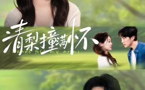 《清梨撞满怀》（77集）免费短剧精彩一追到底