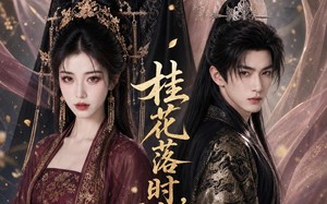 《桂花落时，恰逢君》（49集）短剧全集免费在线追看
