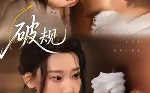 《破规》（80集）免费短剧全集畅快追完