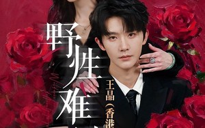 《野性难驯＆野骨难驯》（62集）免费看短剧全集不停