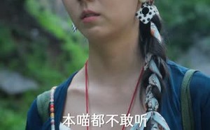 《黑白双猫当警长，她破了山村悬案》（47集）在线短剧精彩全看完