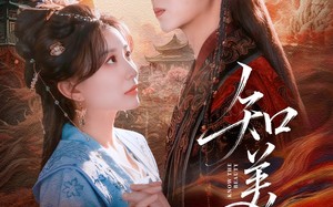 《知美人》（81集）爆款短剧全集免费看