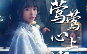 《莺莺心上卿》（60集）短剧全集高清版本尽情看