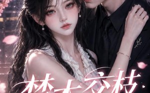 《楚木交枝第三季》（167集）热门短剧全集免费观看