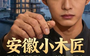 《安徽小木匠》（36集）看短剧全集享欢乐时光