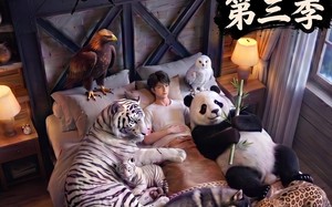 《完了，这破农场来的全是祖宗！第三季》（100集）看短剧感受农场爆笑事