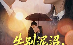 《告别泥沼，奔赴暖阳》（89集）热门短剧免费畅享观看