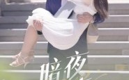 《暗夜情事》（100集）热门短剧完整版追剧
