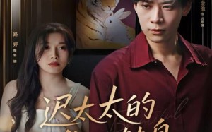 《迟太太的华丽转身》（80集）短剧免费畅享全集