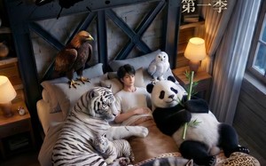 《完了，这破农场来的全是祖宗！》（100集）短剧全集免费在线追