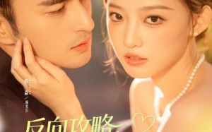 《反向攻略，顾先生越追越勇》（69集）免费短剧追剧乐不停