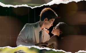 《拆家野玫瑰》（80集）短剧在线免费全集畅追