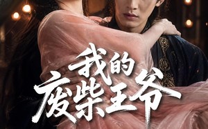 《我的废柴王爷》（31集）在线看短剧爆笑不断