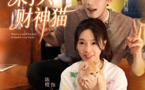 《我家来了只财神猫》（80集）短剧精彩全集速来追