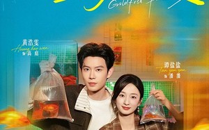 《金鱼的烟火》（84集）短剧精彩全集抢先看