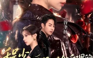 《程少你柔弱不能自理的夫人又打架了》（60集）全集短剧免费看个够