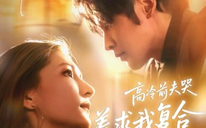 《离婚当天，高冷前夫哭着求我复合》（77集）看短剧体验甜蜜反转