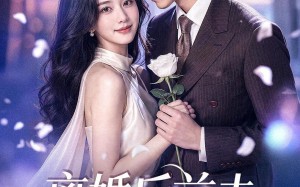 《离婚后前夫总想复合》（72集）短剧完整版在线尽情看