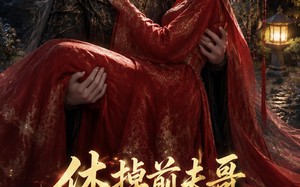 《休掉前夫哥，我成了陛下的唯一解药》（31集）热门短剧免费在线追看