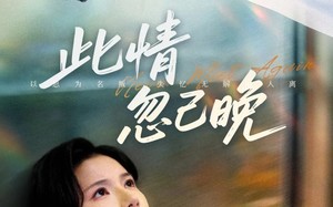 《此情忽已晚》（67集）短剧精彩剧情一看到底