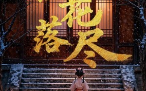 《桂花落尽》（73集）精彩短剧一口气追完