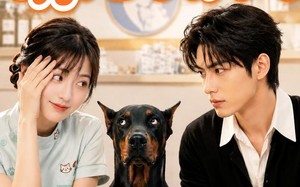 《萌宠守护人》（51集）免费短剧在线畅快追看