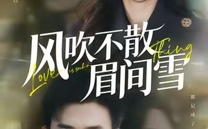 《风吹不散眉间雪》（77集）热门短剧完整版一口气看
