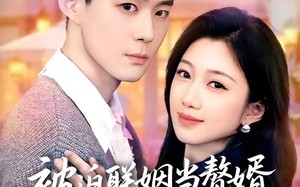 《被迫联姻当赘婿，太子爷上房揭瓦》（80集）短剧精彩全集速来围观