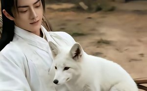 《万事孤陵，唯我长生》（60集）免费看短剧全集别等待