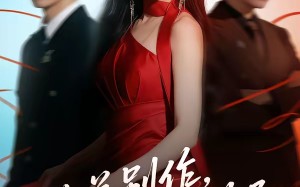 《陆总别作，太太她不要你了》（66集）短剧全集免费在线追剧