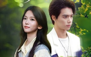 《野心家》（65集）畅享短剧精彩全集