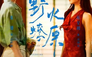 《野火燎原》（72集）在线短剧全集嗨看中
