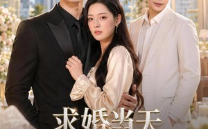 《求婚当天我换了新娘》（83集）一口气追完短剧全集
