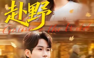 《赴野》（40集）短剧盛宴开启一睹为快