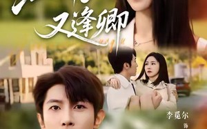 《江南又逢卿》（67集）短剧免费看全集不间断