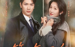 《第七年回响》（81集）畅享短剧全集在线赏