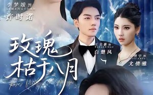 《玫瑰枯于八月》（80集）在线畅享短剧全集追