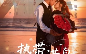 《热带港岛》（60集）免费短剧精彩一网打尽