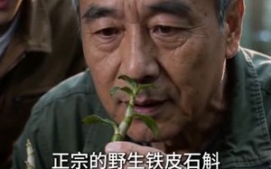 《被赶出家门后，我重回深山成顶级药王》（49集）在线短剧免费来看