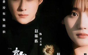 《软肋》（62集）免费短剧精彩全集速览