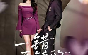 《一错再错的爱》（38集）免费看短剧精彩不停