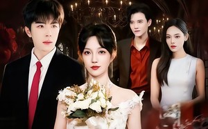 《风月不相关》（74集）免费看短剧全集不卡顿