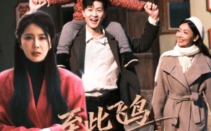 《至此飞鸟不相逢》（70集）在线追短剧全集不停歇